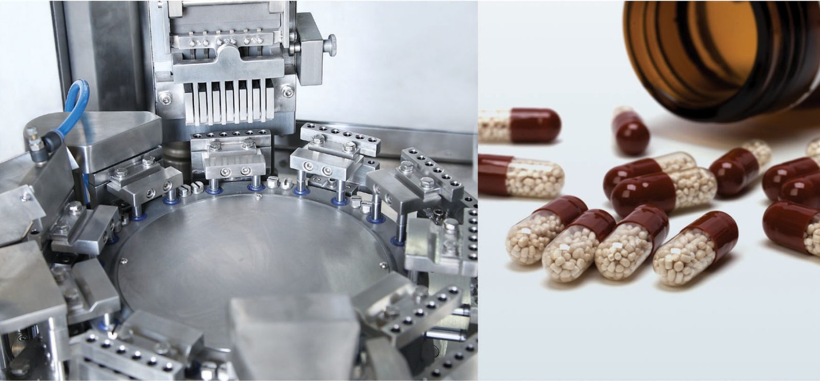 NJP-800 Automatic Hard Capsule Filling Machine - finished products and application showcase
